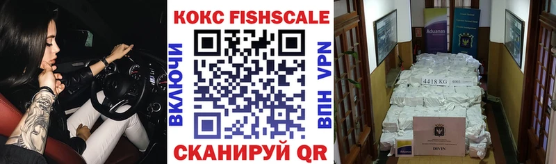Купить закладки  Тарко-Сале  COCAIN Fish Scale 