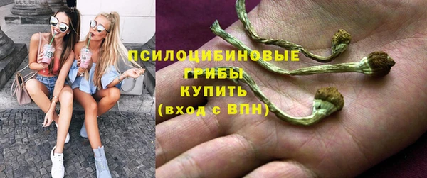 MDMA Новозыбков